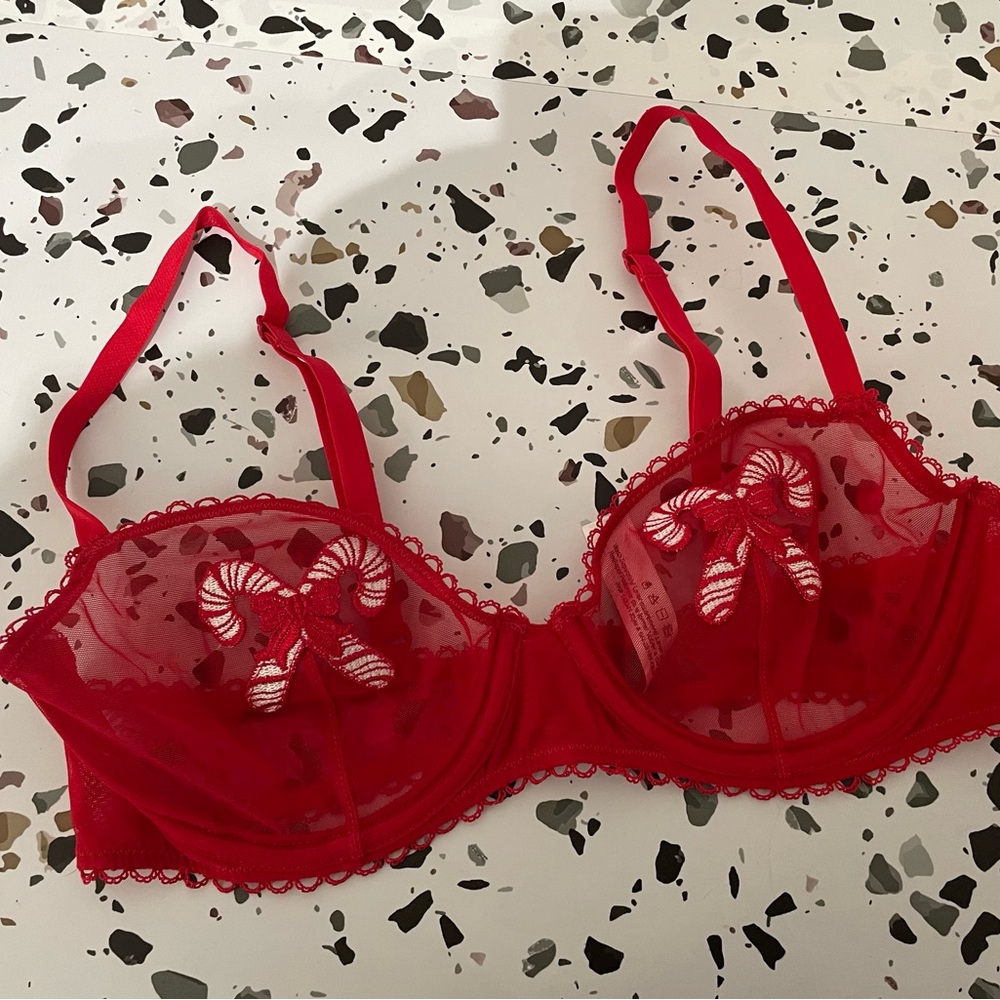 Red Lace Underwire Bra